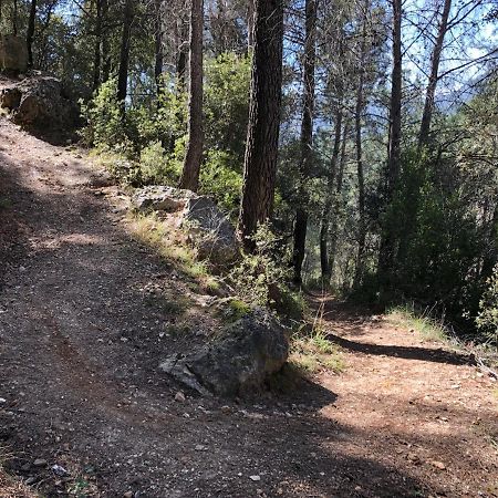 Casas Rurales Arroyo De La Sierra يستي المظهر الخارجي الصورة